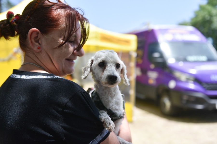 El vacunatorio móvil del municipio para perros y gatos llegará esta semana a la rambla de 72, San Carlos y Villa Elvira