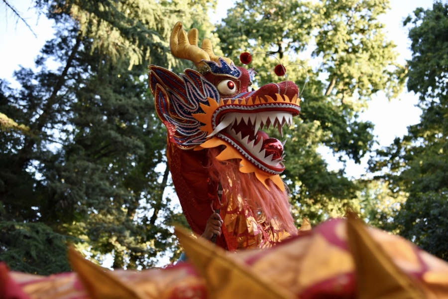 Así se festejará el Año Nuevo Chino en La Plata: comidas tradicionales, shows y actividades orientales