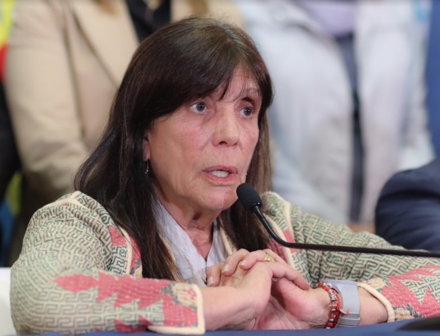 Teresa García pidió terminar con la concesión de Edesur: ”Hay que tomar medidas contundentes”