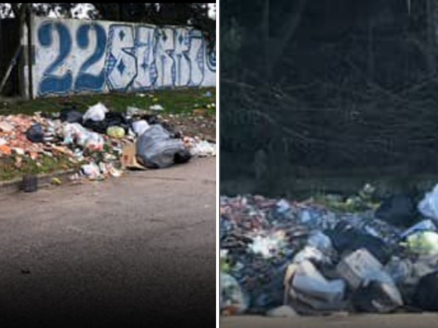 Denunciaron en Tolosa por un microbasural