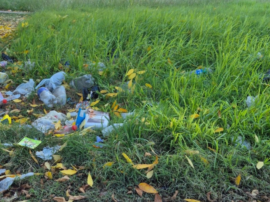 Vecinos de Villa Elvira exigen corte de pasto y falta de limpieza