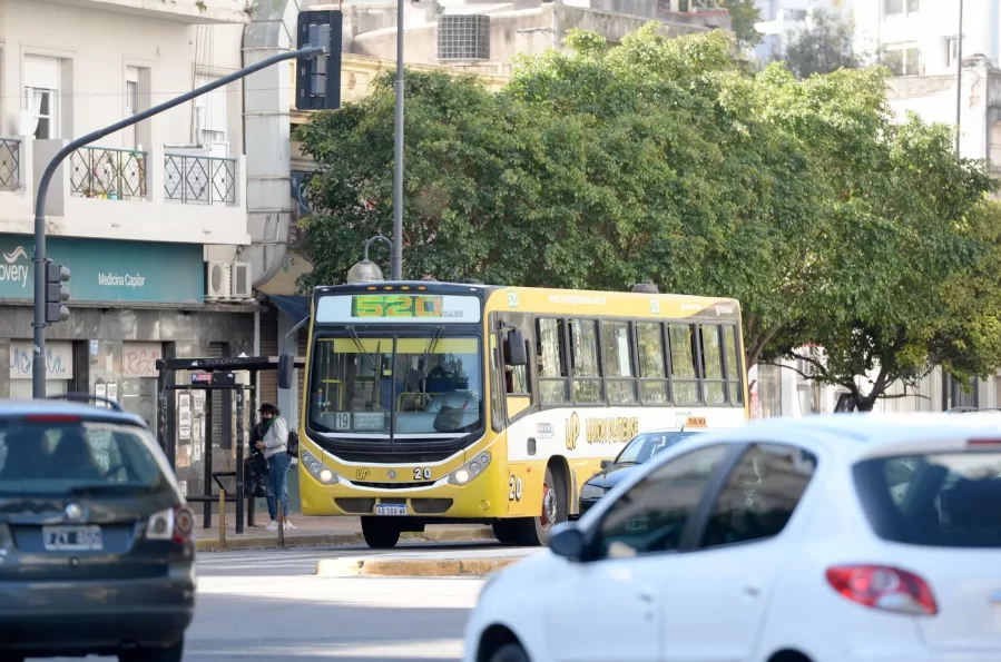 Feriados de Carnaval en La Plata: así funcionarán el transporte y otros servicios municipales durante el lunes y el martes