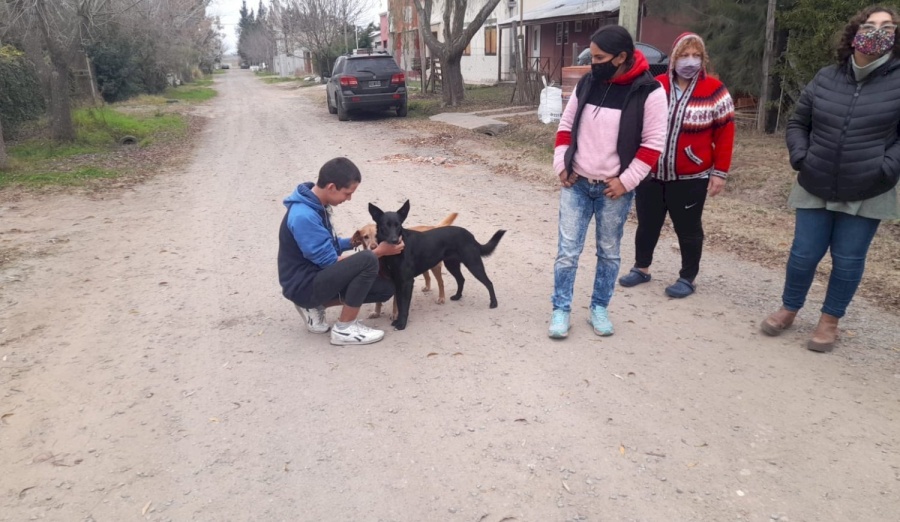 Se encendieron las alarmas en un barrio platense por ”el loco de la escopeta” que ataca a perros de la calle