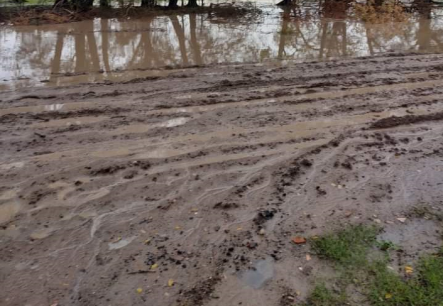 Vecinos piden que mejoren las calles y coloquen luminarias: “Es intransitable”