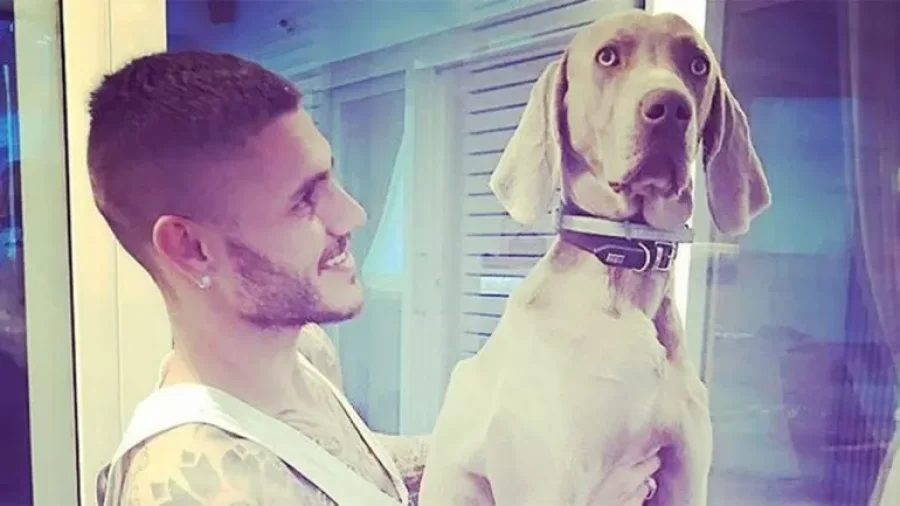 Wanda Nara acusó Icardi de haber asado a un perro de la familia: ”lo prendió fuego en la parrilla y las nenas lo vieron”