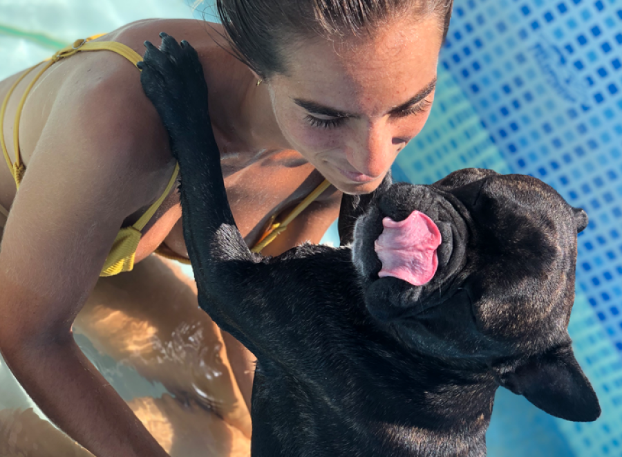 ”Nuestra vida se frenó”: fue un regalo hermoso, es uno más de la familia, lo robaron en La Plata y ofrecen un millón de pesos