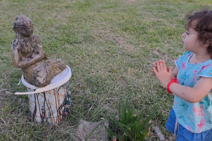 ”Iván” está perdido en La Plata, fue un hermoso regalo, ofrecen recompensa, no aparece y la familia igualmente agradece