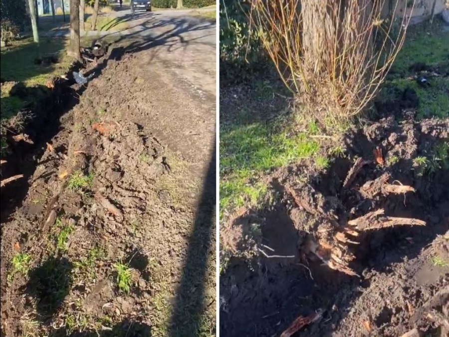 Una obra incompleta molesta en Villa Castells: ”Rompieron todo y dejaron una mugre tremenda”