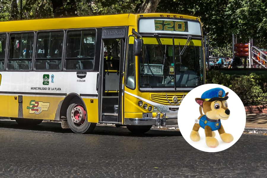 Una mamá busca la mochila y los peluches de su hija que dejó arriba de un micro de La Plata: “Le cuesta dormir por la noche”