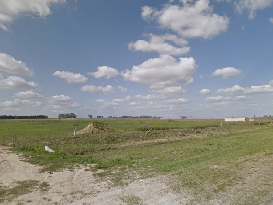 Atraparon a cuatro cazadores entrando a un campo de La Plata con perros galgos