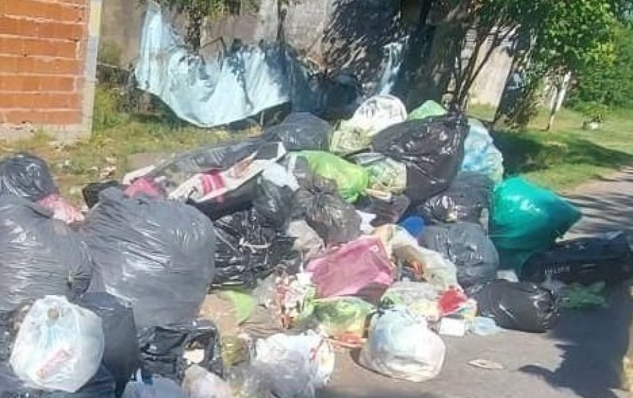 En 14 y 86 aseguraron que hay una montaña de bolsas donde concurren ratas, perros y gatos