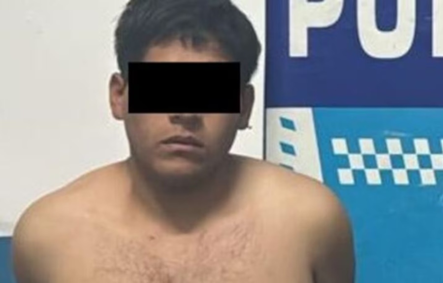 Un joven asesinó a su abuela en el conurbano bonaerense porque se negó a darle dinero