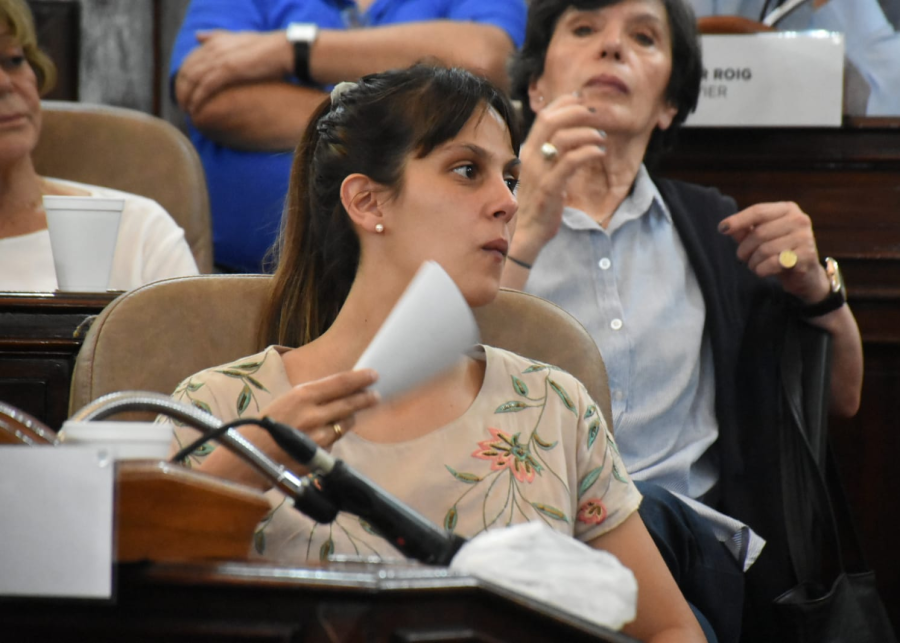 ¿”Chau abanico” y ”hola Aire Acondicionado” para los concejales de La Plata?