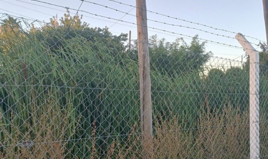 El pasto ya superó la altura del alambrado alrededor de un predio de Villa Elvira donde entrenan decenas de chicos