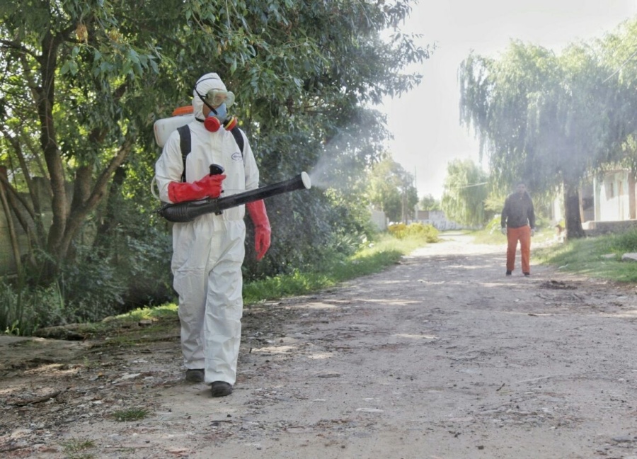 Desde la Provincia afirmaron que todavía no hay circulación autóctona de dengue ni chikungunya