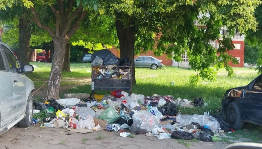 El constante enojo de los vecinos de La Plata por la falta de recolección de residuos