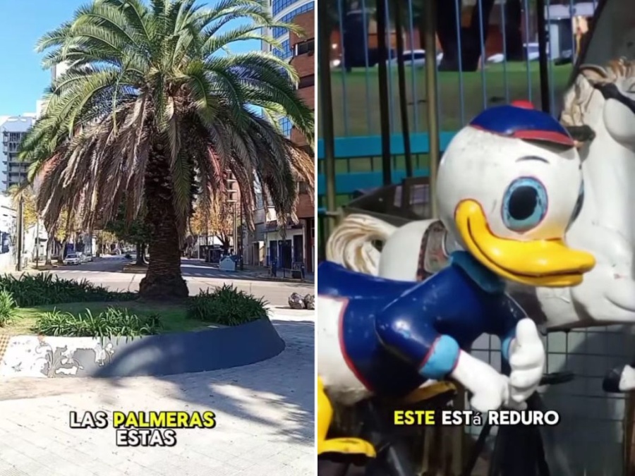 La Plaza Paso de La Plata: una joya llena de detalles bizarros y belleza escondida en lo cotidiano