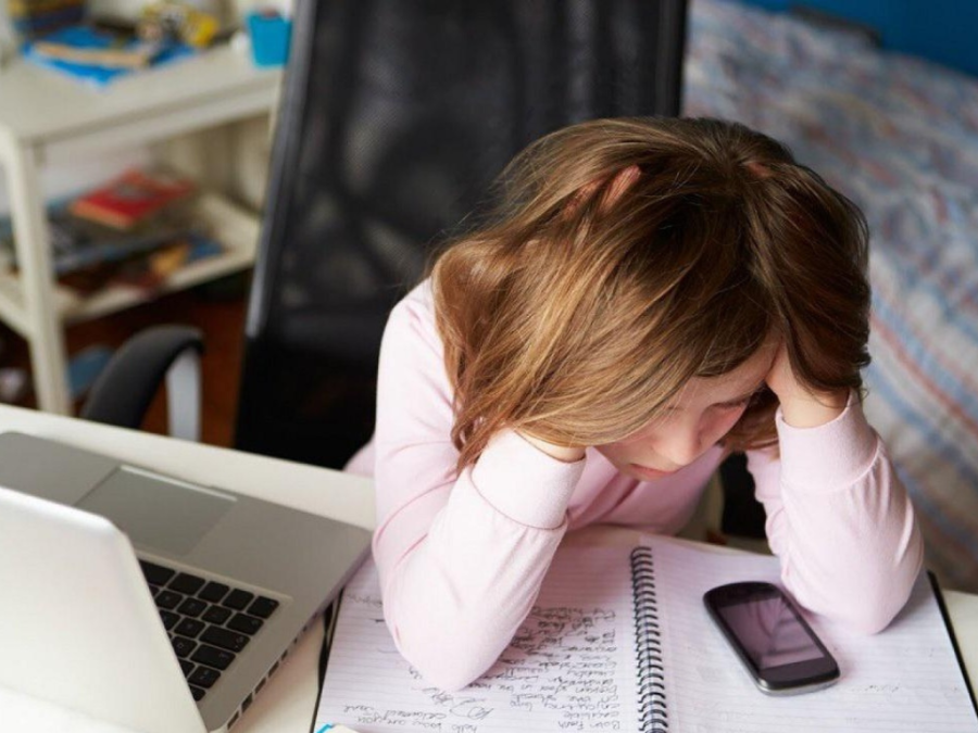 En medio de la denuncia contra la docente platense por grooming, la Legislatura avanza con cambios en la prevención de daños