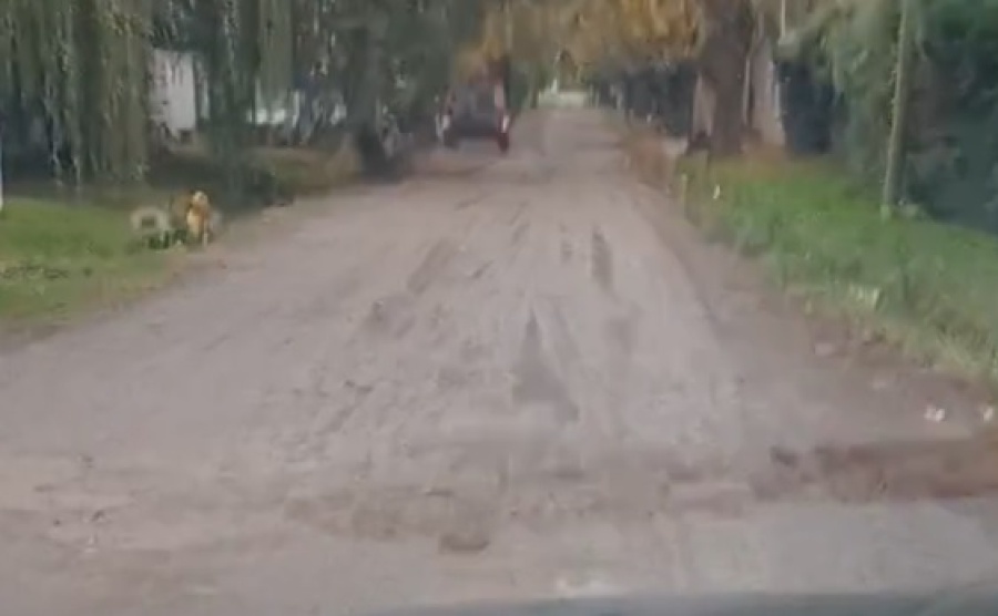 En un sector de City Bell se quejaron por el estado de la cuadra: ”Pasaron la motoniveladora y quedó peor”