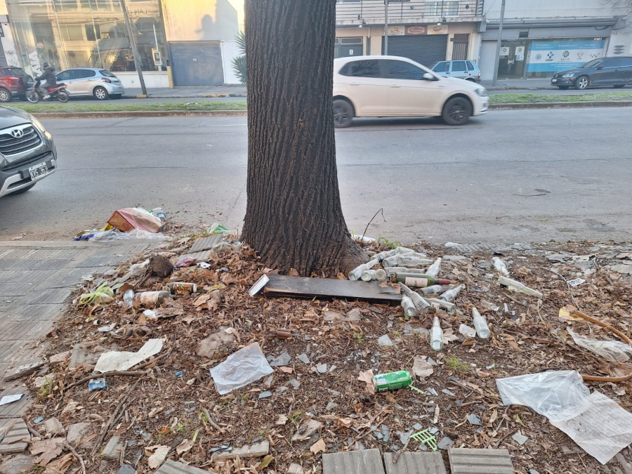 Los vecinos están molestos en 7 y 530 por acumulación de botellas