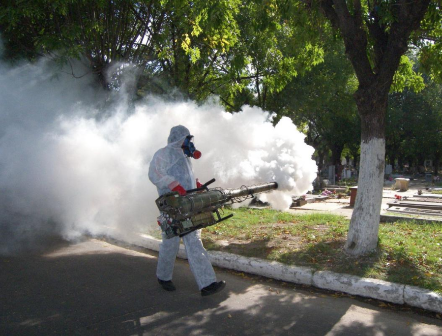 Confirmaron que en agosto comenzará la vacunación contra el dengue y será para jóvenes de 15 a 19 años