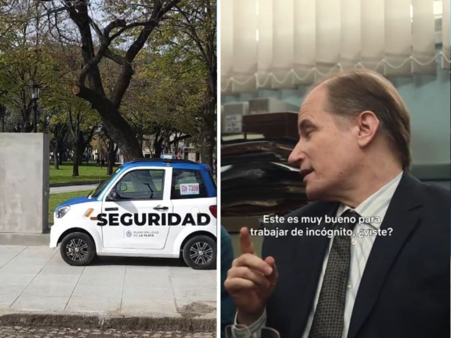 ”División La Plata”: el Tik Tok que ironiza el aumento de la seguridad en la ciudad