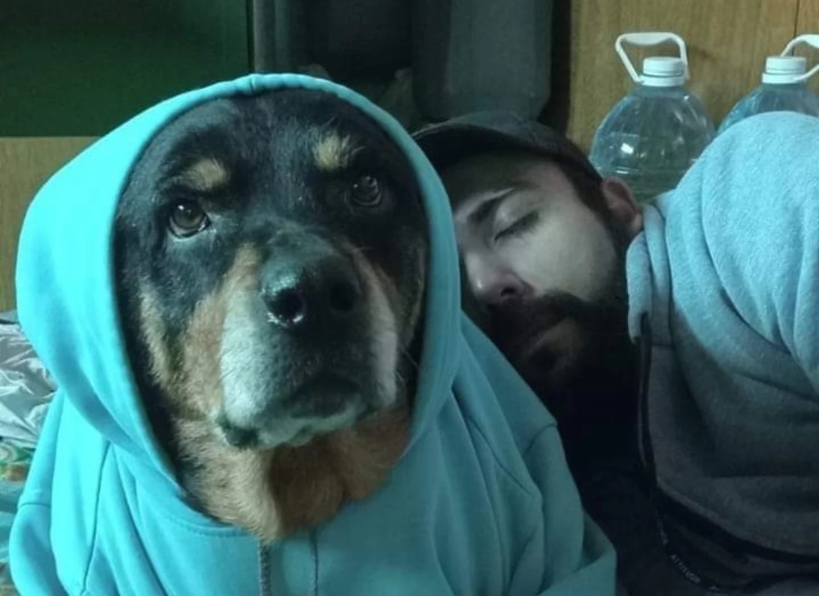 ”Vive estresado y con dolores por los nervios”: un maquinista del Tren Roca y su pareja dan todo por los perros las 24 horas