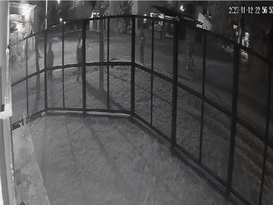 Los ”tirapiedras” al acecho en Los Hornos: una vecina estalló de furia y la secuencia quedó grabada