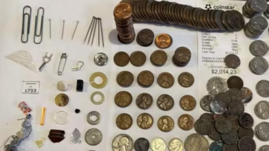 Encontró un botellón de su abuelo tras 70 años de ahorro y se convirtió en el blanco de un robo fallido