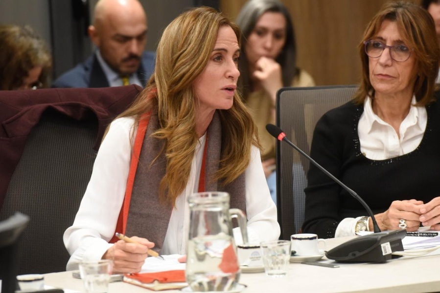 Tolosa Paz criticó al Gobierno por girarle 25.000 millones de pesos a la SIDE y eliminar fondos a los barrios populares