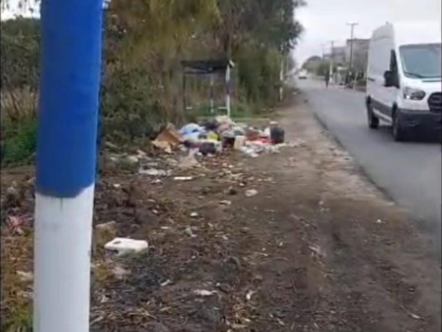 Reclaman por contenedores en 2 y 609 : “esperamos el micro entre gusanos”