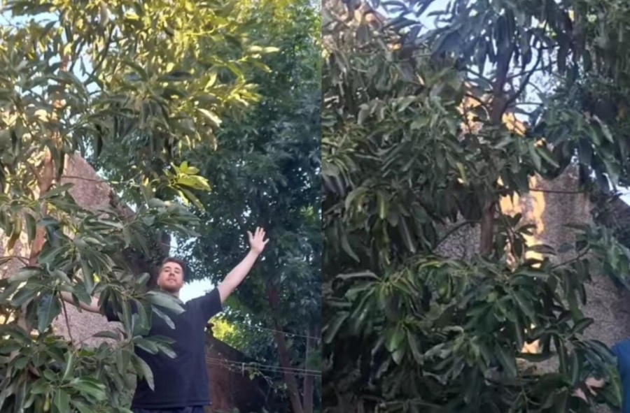 ”Tenes oro en las manos”: una pareja platense registró la evolución de ”4 años de amor” y los aficionados los felicitaron