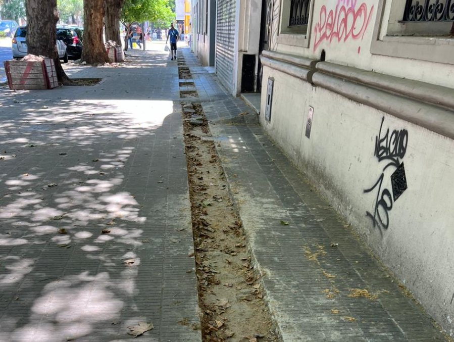 En varios puntos del centro de La Plata alertaron por el estado de las veredas: ”Se cayó una señora”