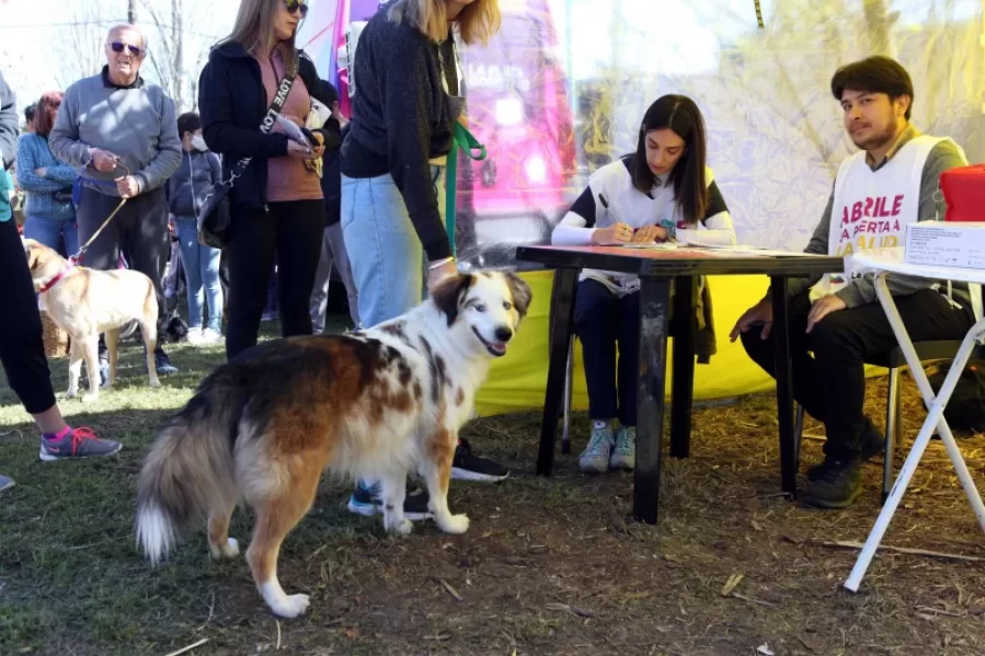Esta semana los móviles de atención veterinaria estarán en City Bell y Altos de San Lorenzo