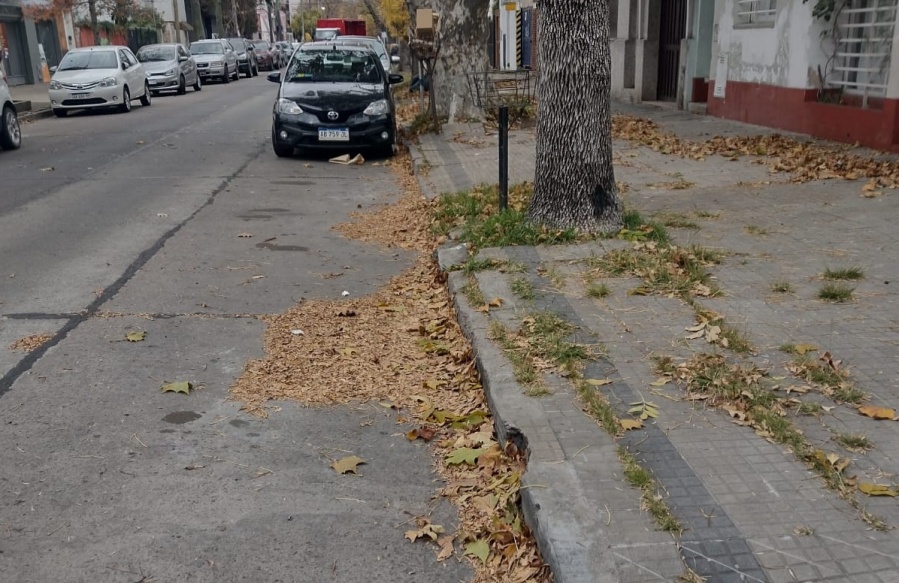Vecinos de Barrio Norte, preocupados por la cantidad de hojas en la calle: ”Con las lluvias, es un peligro”