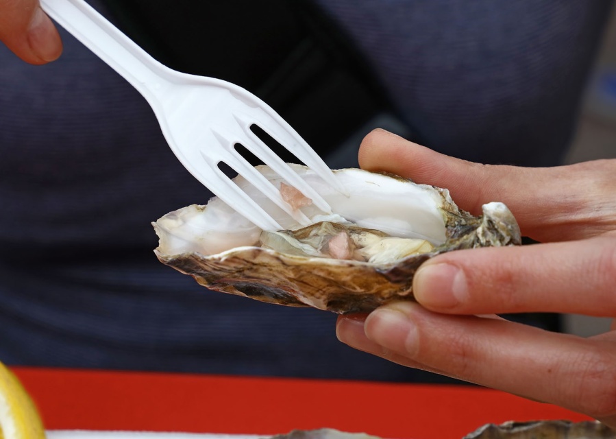 Preocupación en Estados Unidos por las “bacterias come carne”: pueden causar sepsis