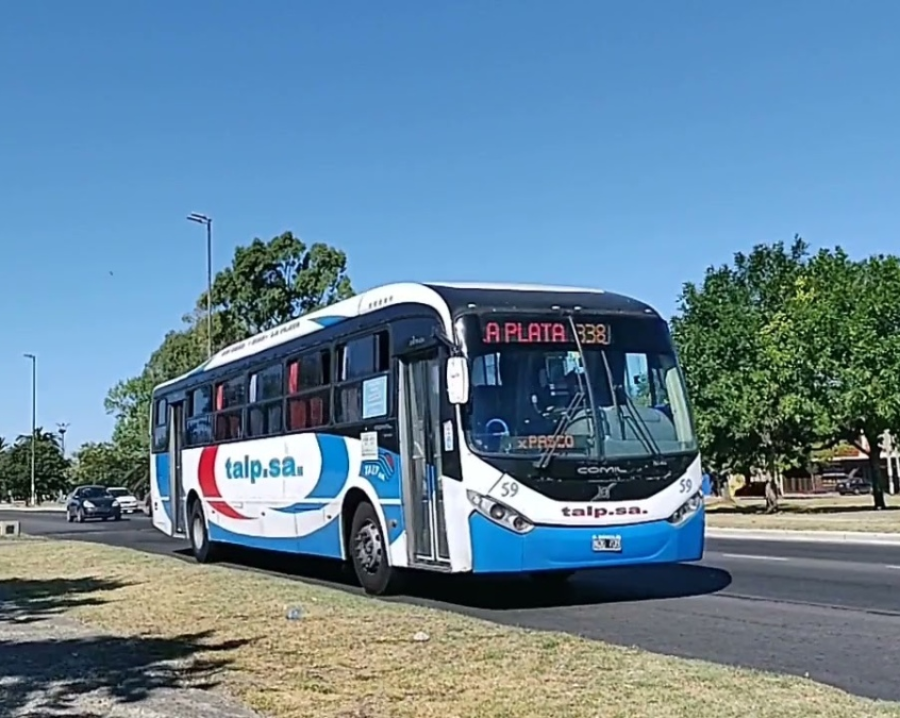 ¿La Costera es el TALP 338 o el 195? La eterna grieta en La Plata que fue furor en las redes y no se cierra