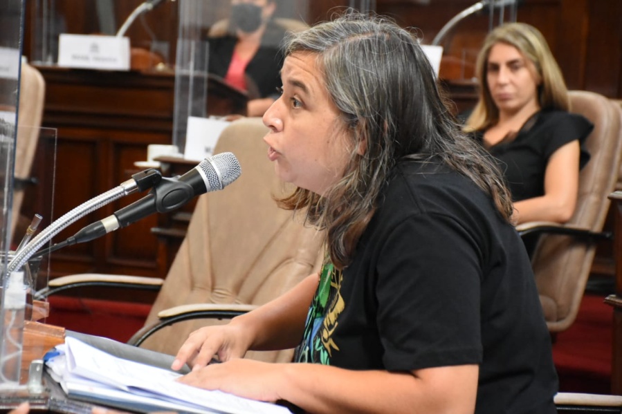 La concejala Negrete pidió que la Municipalidad informe sobre el cumplimiento de normas vigentes referidas a Malvinas