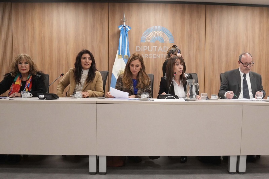 ”El momento histórico lo exige”: Tolosa Paz impulsa con Unión por la Patria el fin de las facultades delegadas a Milei