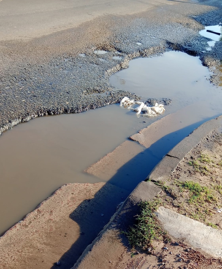 Vecinos de Los Hornos piden por el arreglo de las bocas de agua en la zona de 159 y 66