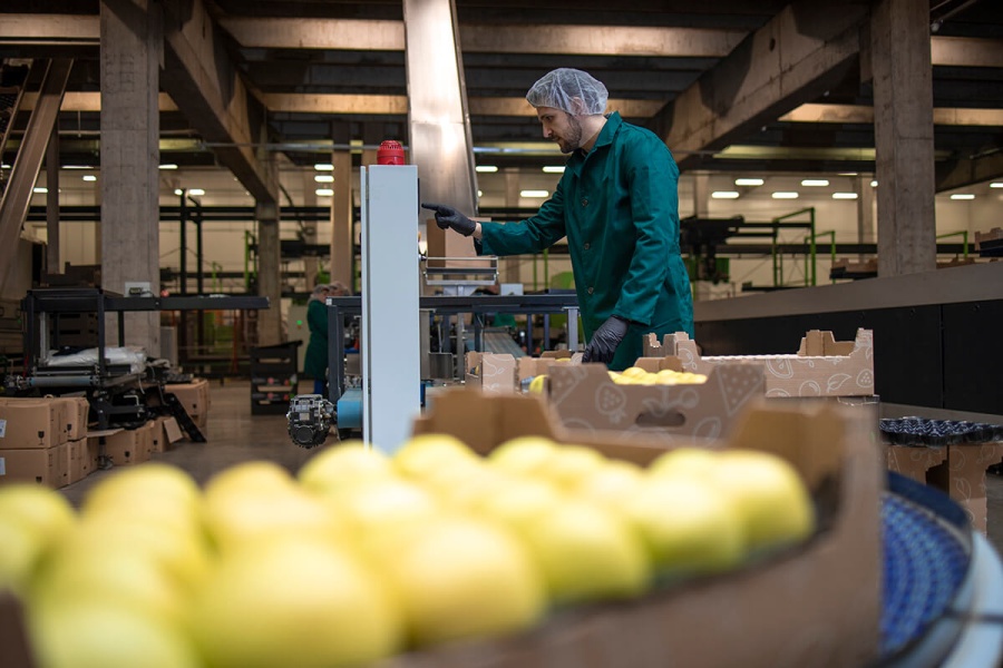 Las exportaciones de las pymes crecieron 17,3% y superaron los 10 mil millones de dólares en 2024