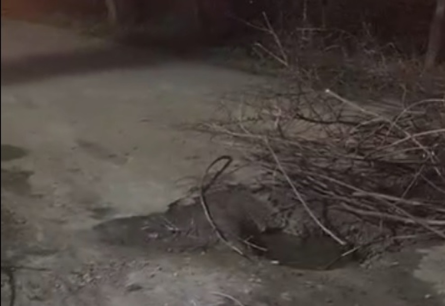 ”Ya se cayeron varios autos”: vecinos reclamaron por el estado de la esquina de 138 y 80