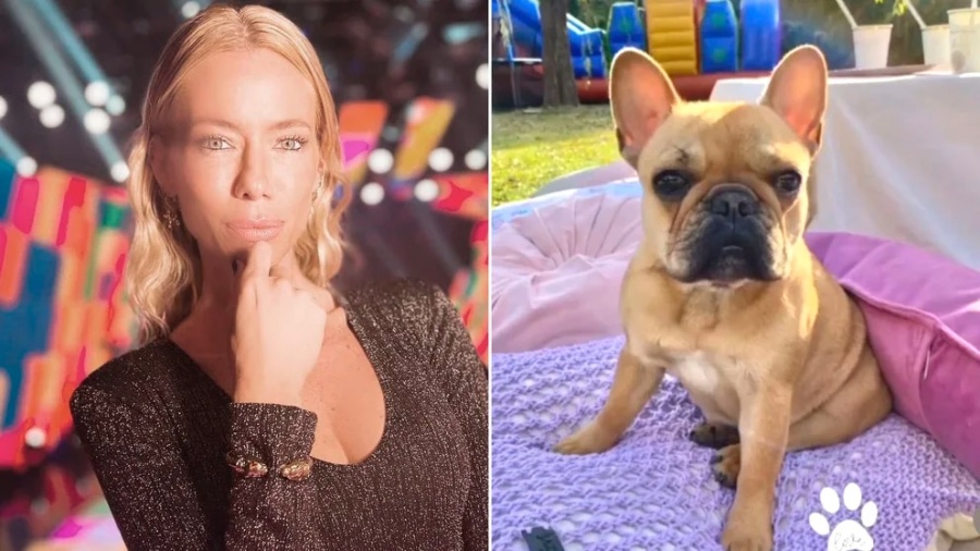 Le robaron el perro a Nicole Neumann y lo busca desesperadamente: ”Te estamos buscando, estamos tristes”