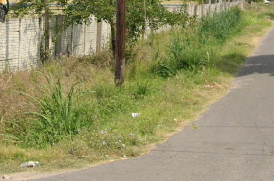 En 140 y 528 reclamaron por la falta de corte de pasto