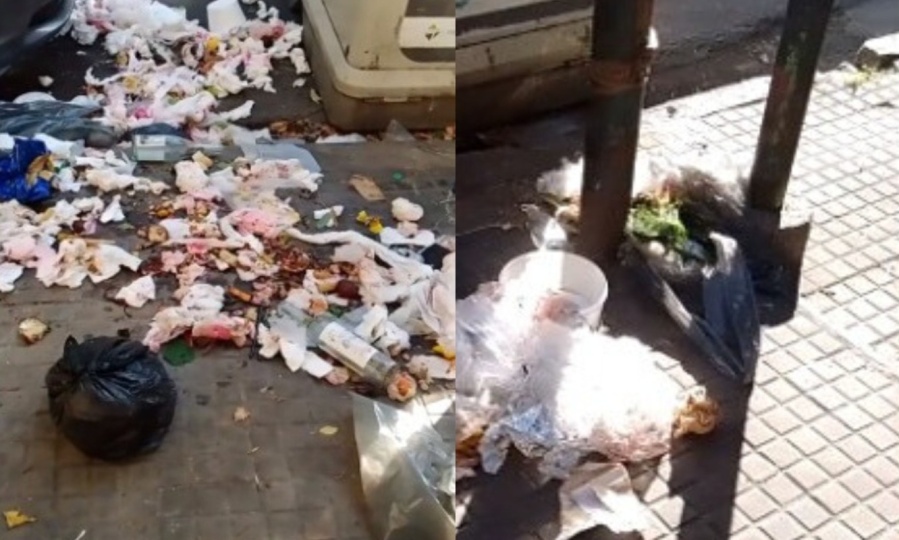 Reclamos por el basural que deja un restaurante en 8 y 60: ”Es un juntadero de ratas”
