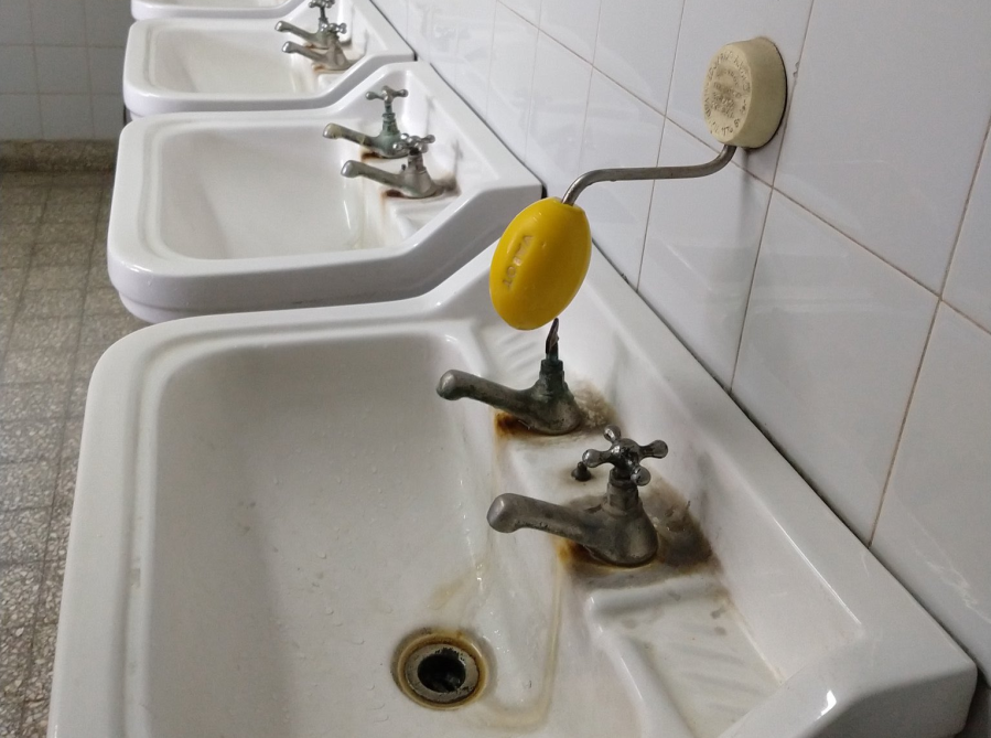 Fulminó a un polémico jabón que estaba en las escuelas y se armó una grieta viral: ”Milagro que hayamos sobrevivido”