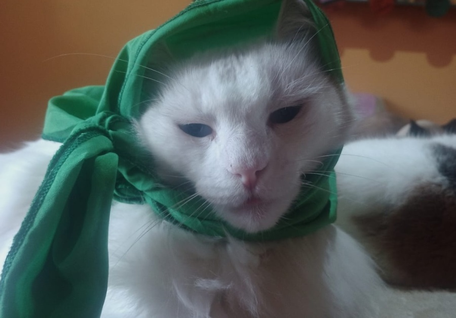 ”Lo extrañamos muchísimo”: lo vieron por última vez en 17 y 76, es el ”nieto” y tiene a una familia en vilo