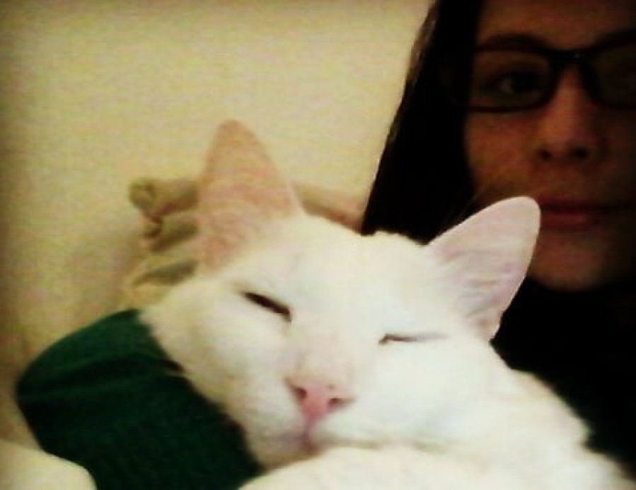 La ”nana de gatos” llegó desde Colombia y es la salvación de muchos platenses: ”Me someto a las recomendaciones del dueño”