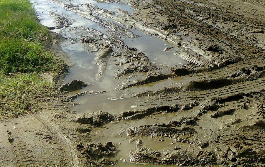 Vecinos de 57 y 140 reclaman por el estado de las calles porque están ”cubiertas de barro”