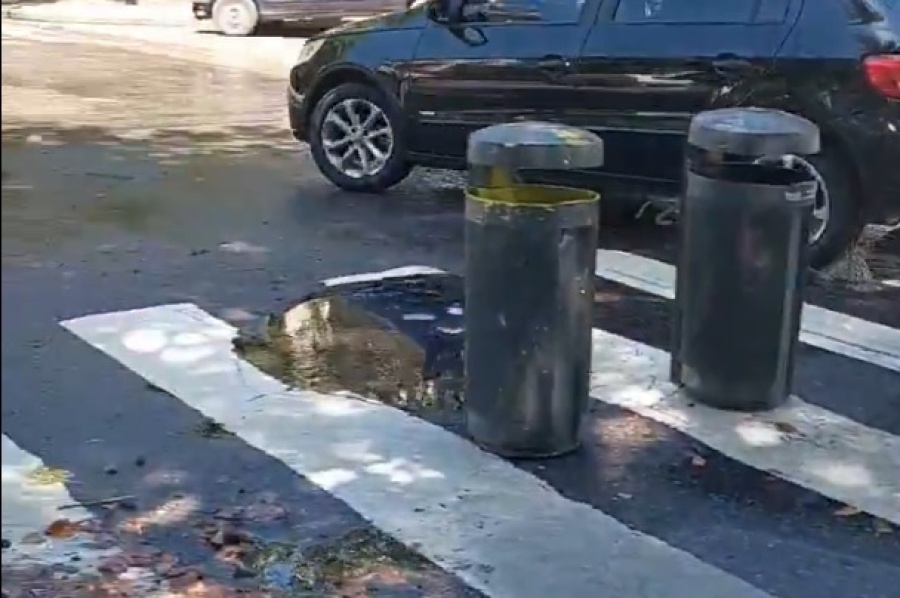En 51 y 16 colocaron dos cestos de basura por un mega bache con agua que complicaba a los automovilistas